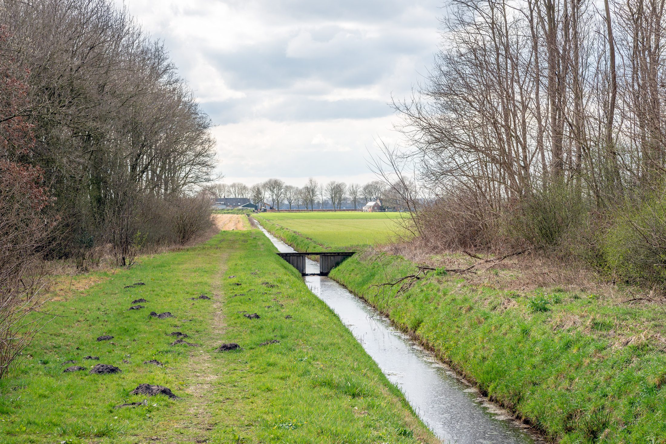 An irrigation ditch