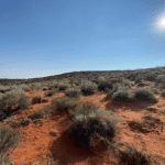 Red Cliffs-Warner Valley area via BLM press release