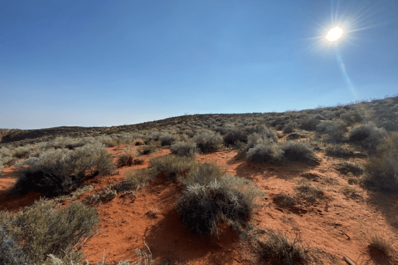 Red Cliffs-Warner Valley area via BLM press release