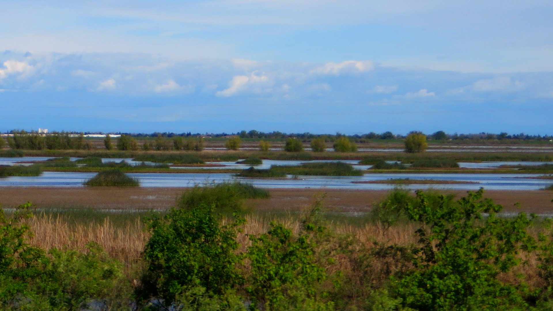 The Yolo Bypass Near Davis, California - Nevada Irrigation District