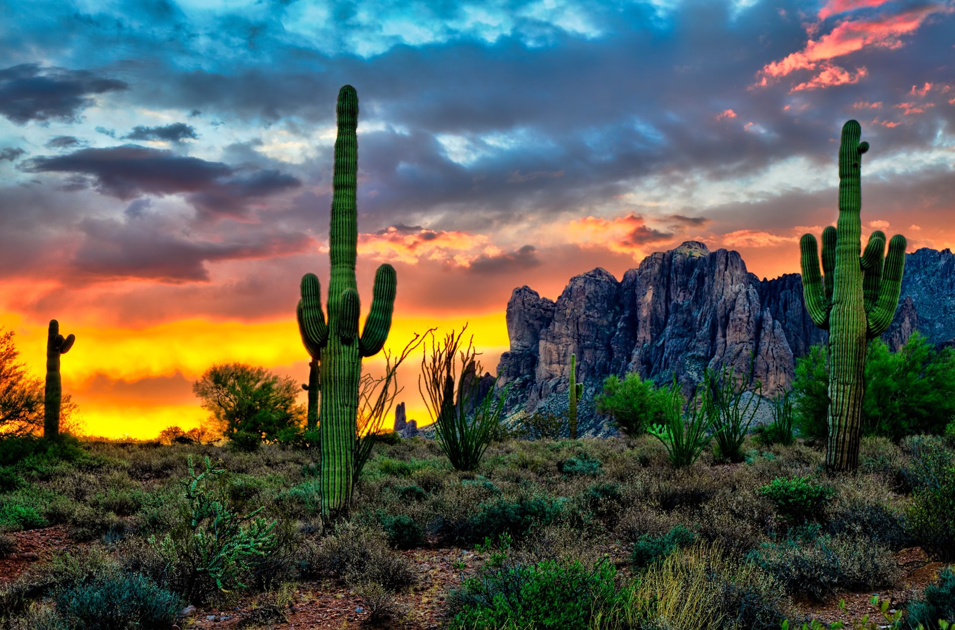 Arizona scenery near the Superstition Mountains