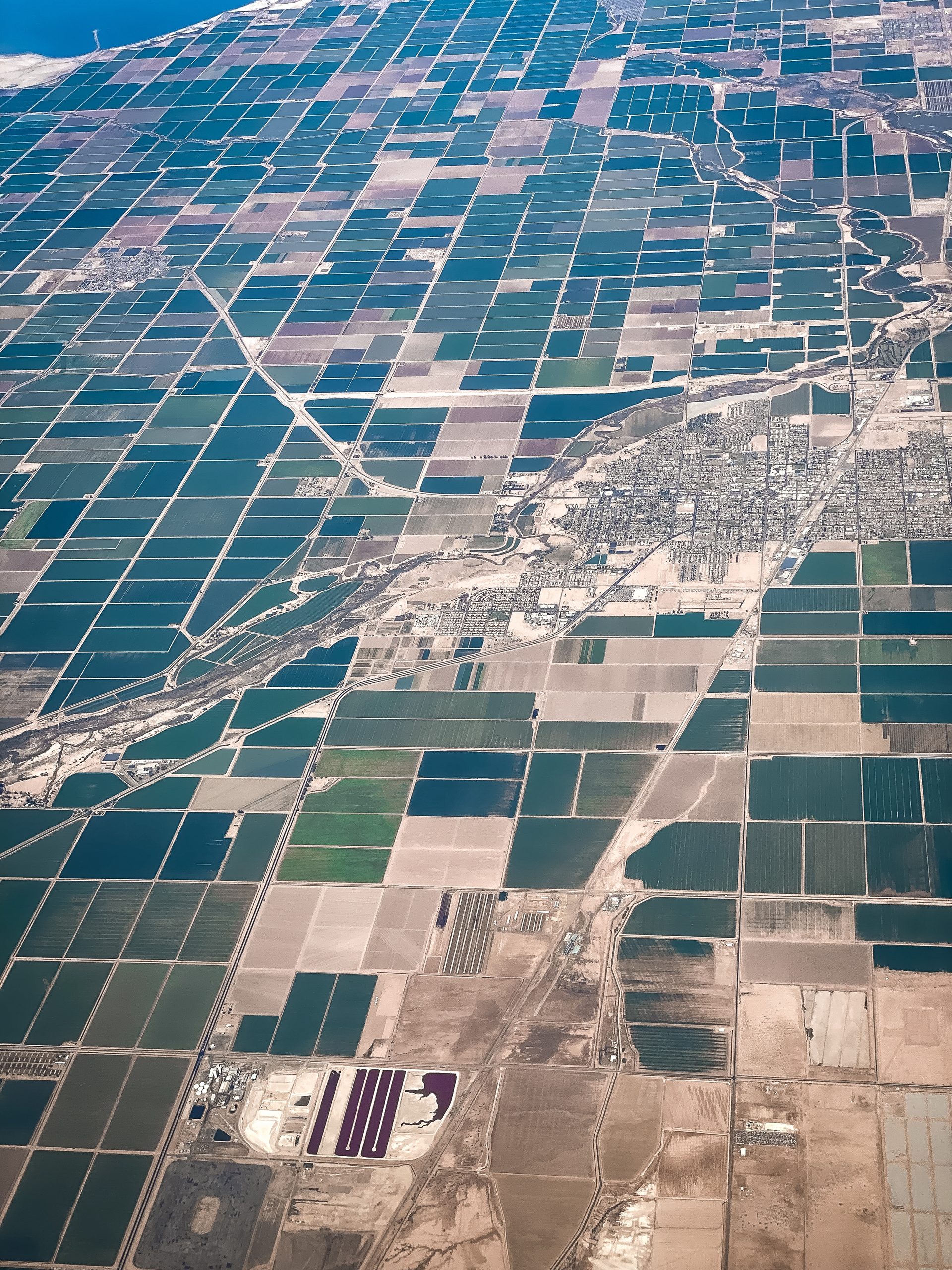 irrigation in central California