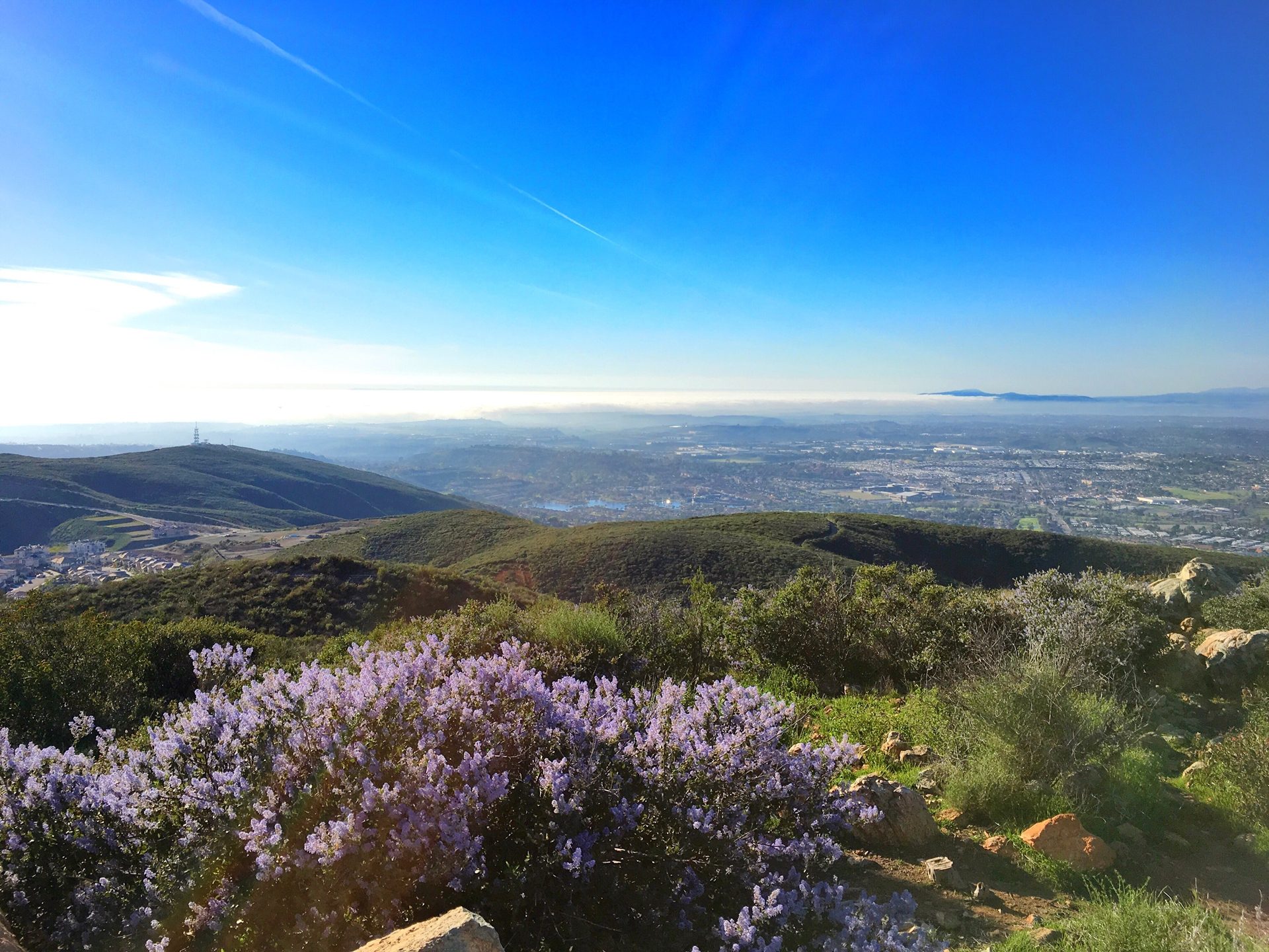 Spring in southern California