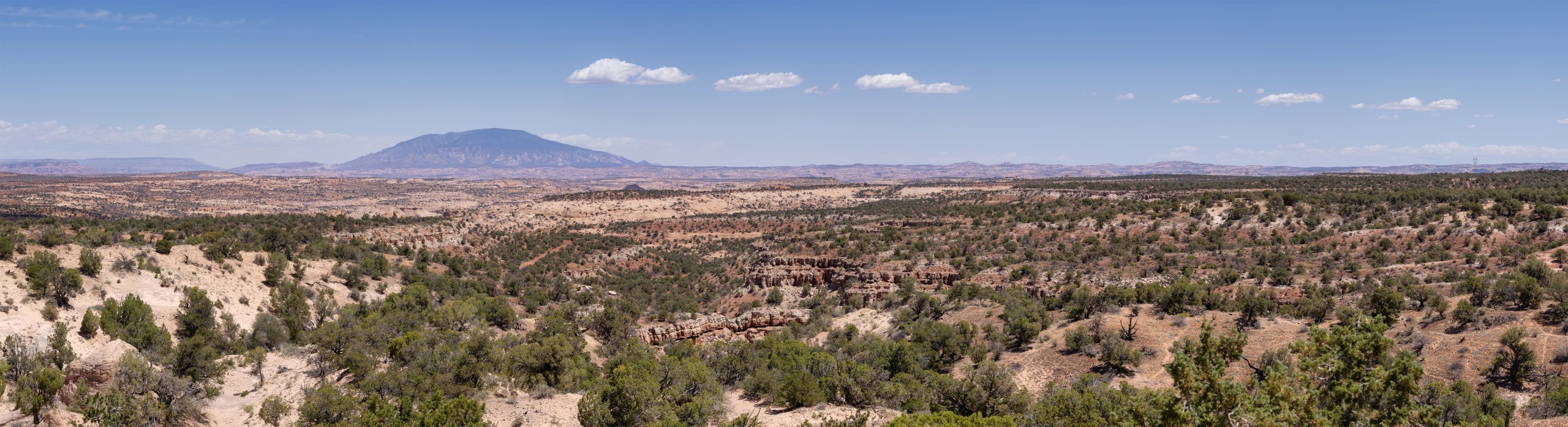 New Mexico landscape