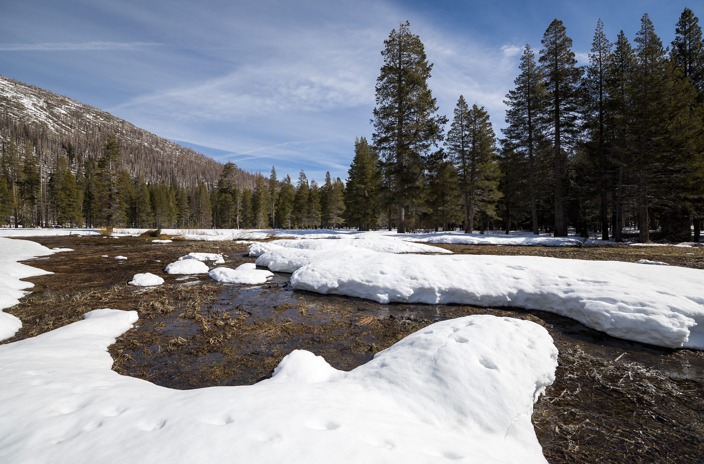 California snowpack measued by DWR